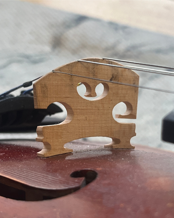 violinnewbridgepre